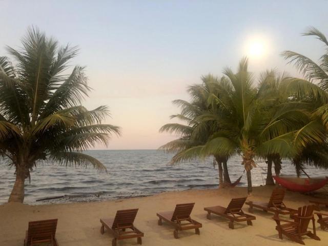 The White Horse Inn - Hopkins Village Beach Belize Ngoại thất bức ảnh